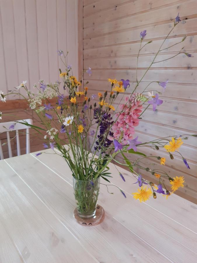 Hygge Chaloupka V Horach Villa Český Jiřetín Dış mekan fotoğraf